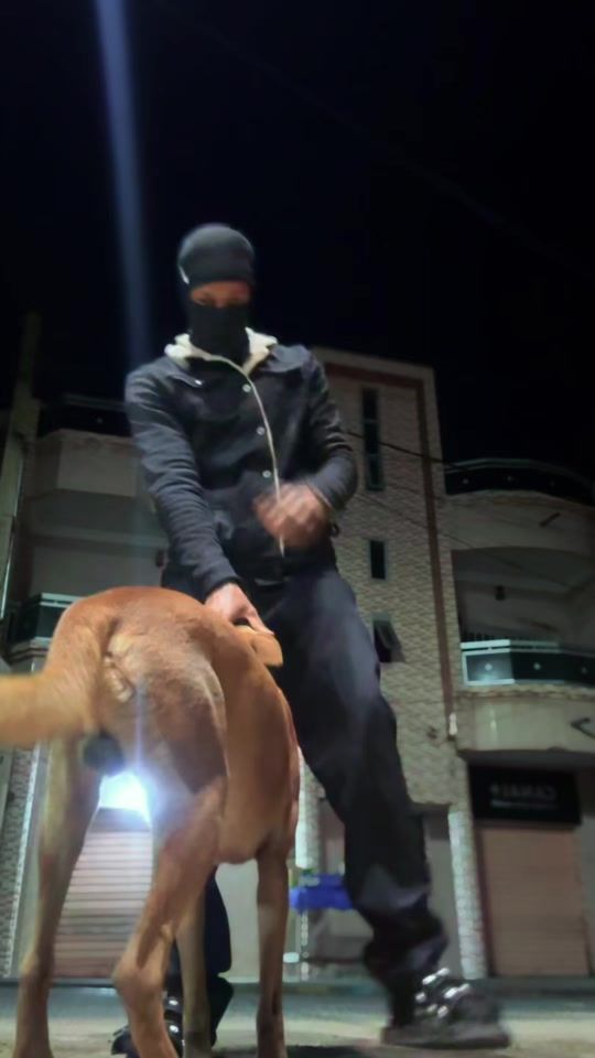 TikTok video thumbnail by deensquad666