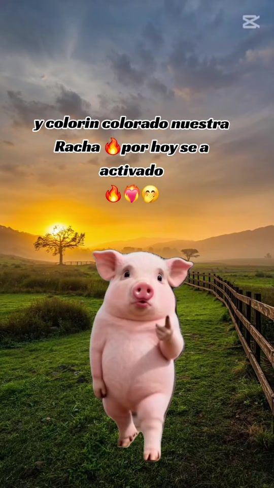 TikTok video thumbnail by granados82_