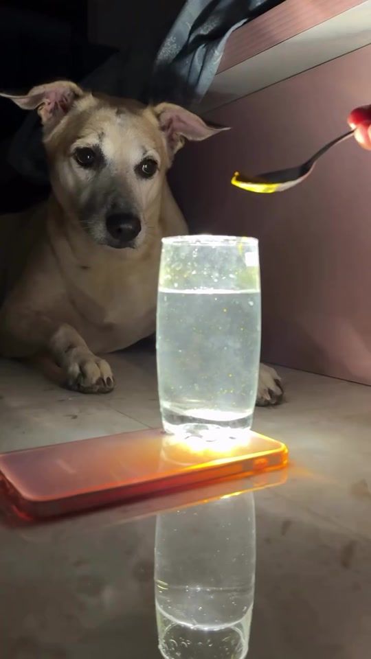 TikTok video thumbnail by manu.lk3