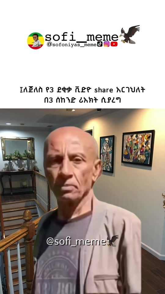 TikTok video thumbnail by sofoniyas_meme