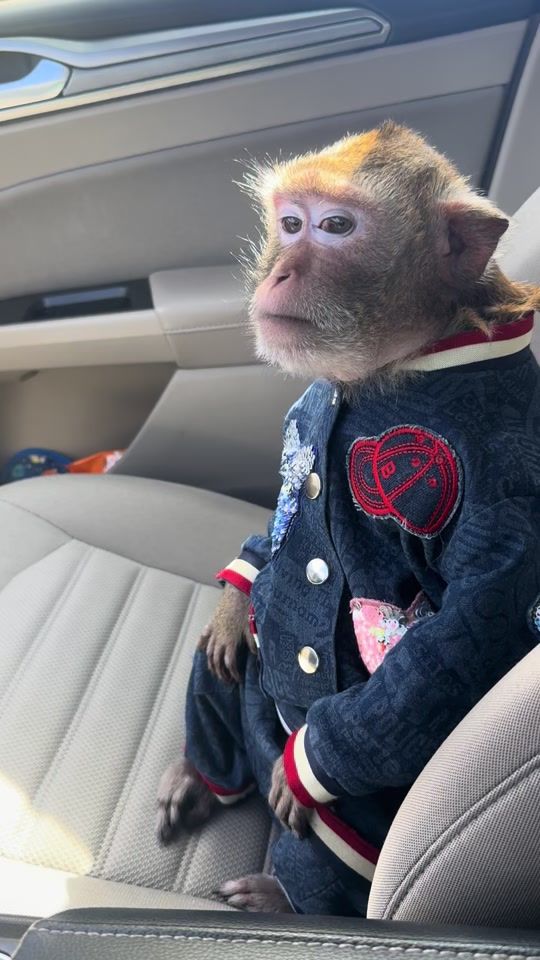 TikTok video thumbnail by samara_monkey_t.me