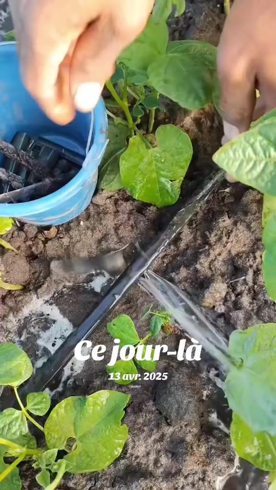 TikTok video thumbnail by hd.dz8