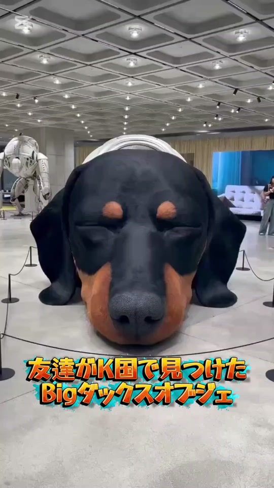 TikTok video thumbnail by 4424ken