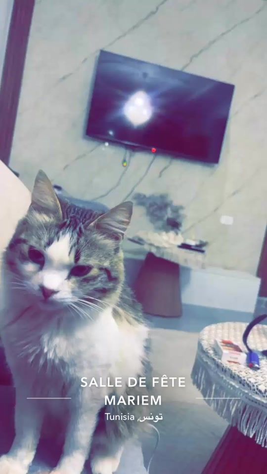 TikTok video thumbnail by moufiiid2