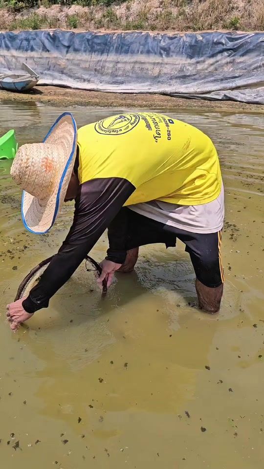 TikTok video thumbnail by chalam__
