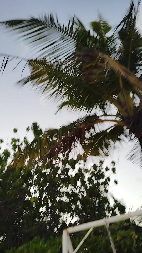TikTok video thumbnail by sarutmg388
