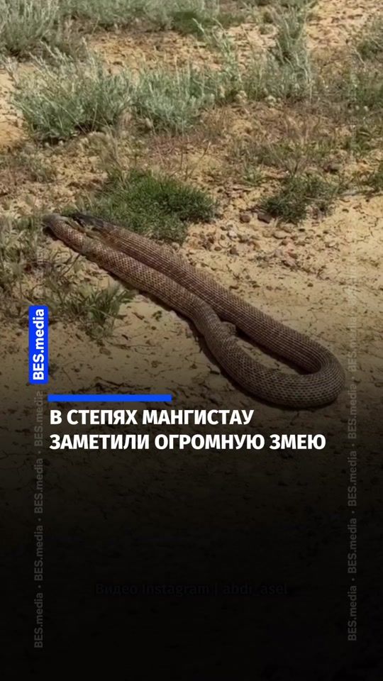 TikTok video thumbnail by bes.media