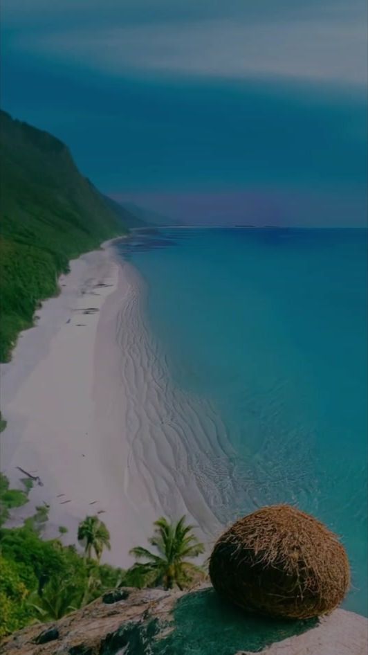 TikTok video thumbnail by talal.alzaatari