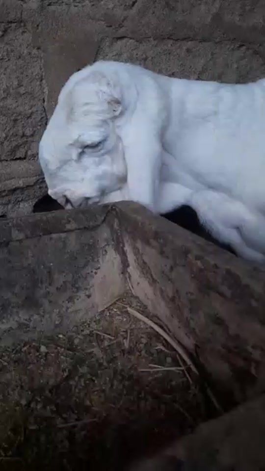 TikTok video thumbnail by seydou.info