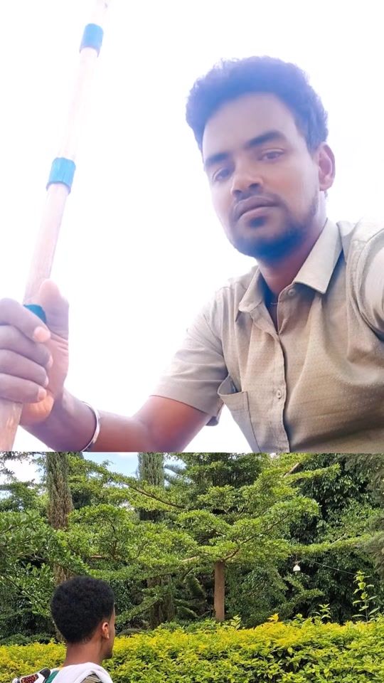 TikTok video thumbnail by shurrubbee4