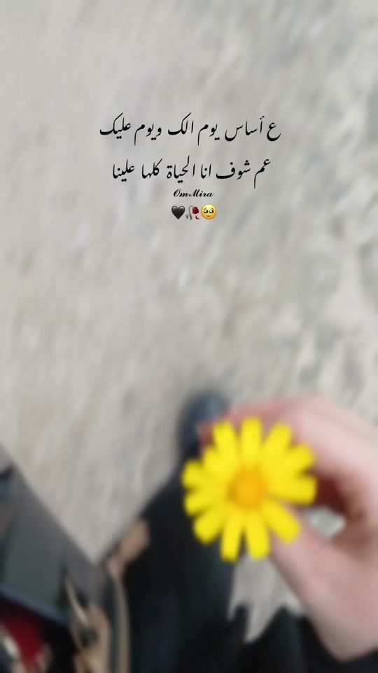 TikTok video thumbnail by am_mira_