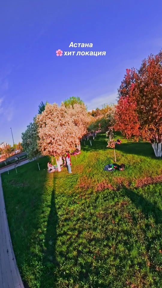TikTok video thumbnail by tala_shin