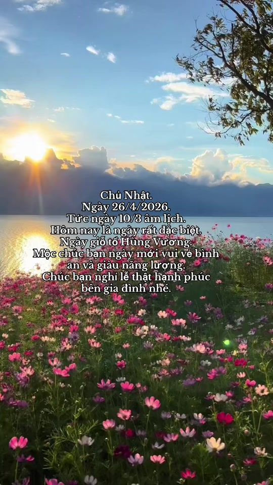 TikTok video thumbnail by moc88lcu