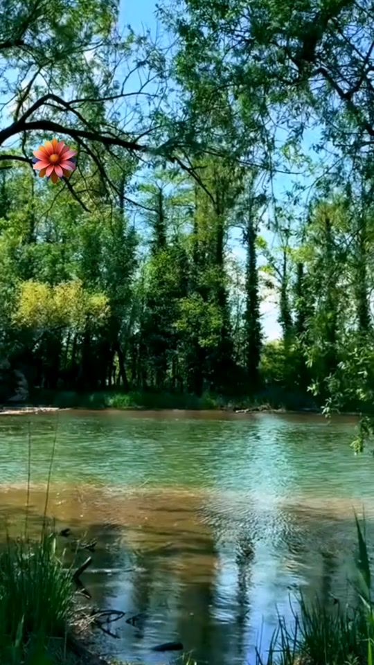 TikTok video thumbnail by 0.loveis.0