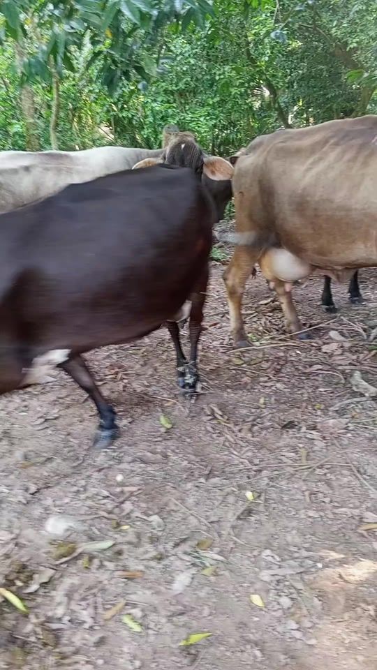 TikTok video thumbnail by arlenmatute76