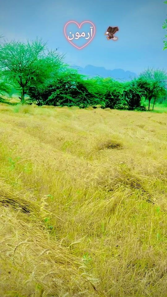 TikTok video thumbnail by rehman_salar_54
