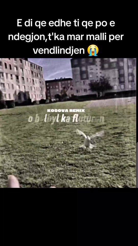 TikTok video thumbnail by a.atyping