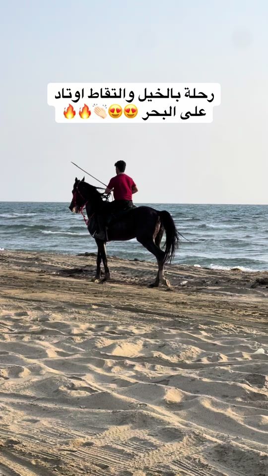 TikTok video thumbnail by r.mutairi
