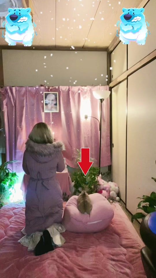 TikTok video thumbnail by pha.mai399