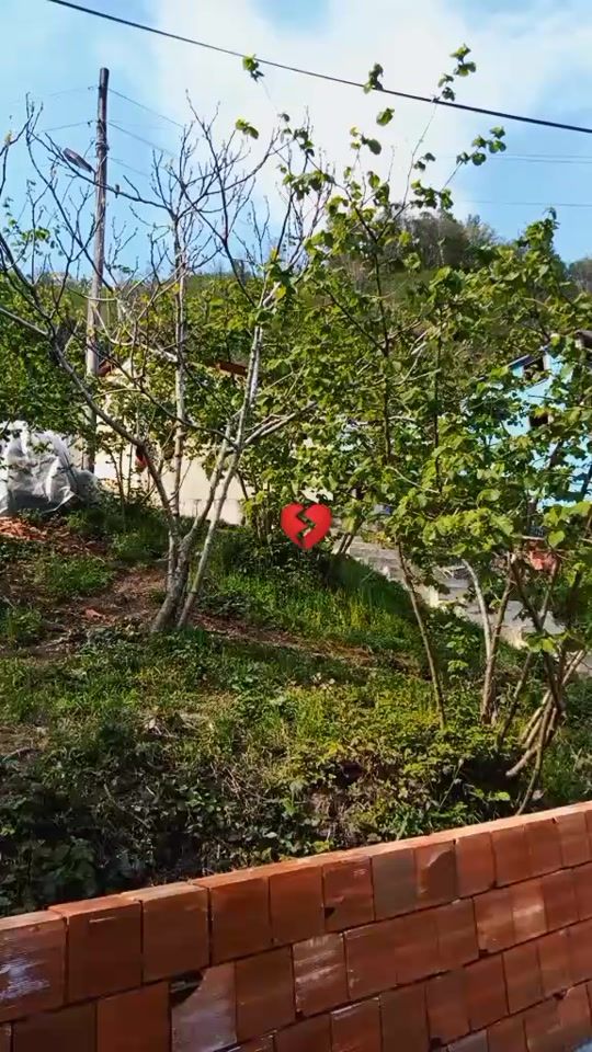 TikTok video thumbnail by _28_gul