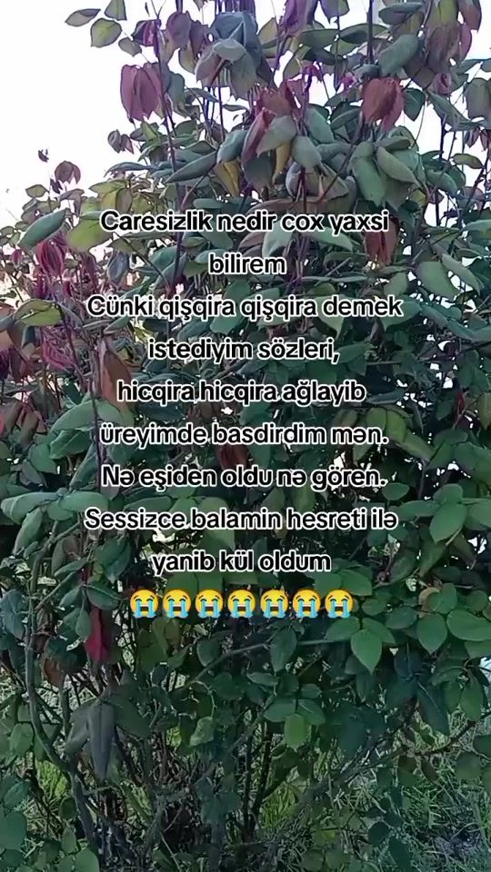 TikTok video thumbnail by aygun_94_16
