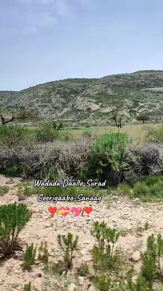 TikTok video thumbnail by hussein_elmi