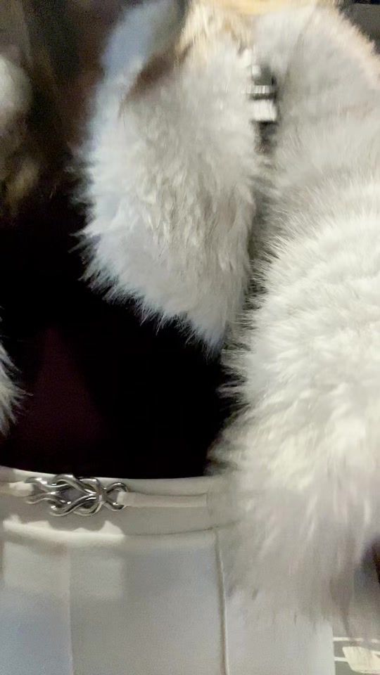 TikTok video thumbnail by justt_rangi