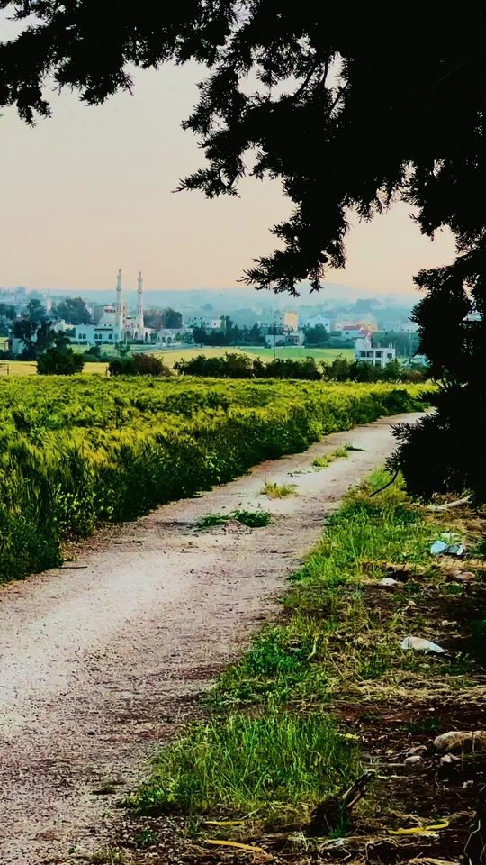 TikTok video thumbnail by 3_albal