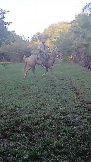 TikTok video thumbnail by antonio.doma