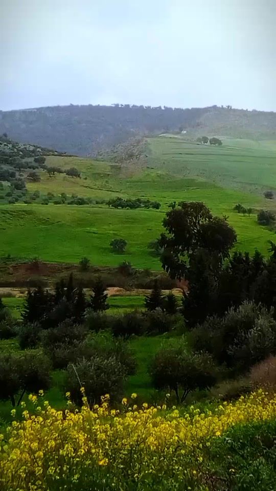 TikTok video thumbnail by arbi_marouen
