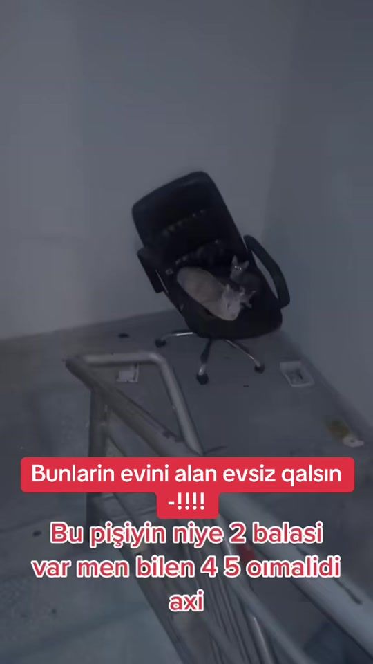 TikTok video thumbnail by eternidade6