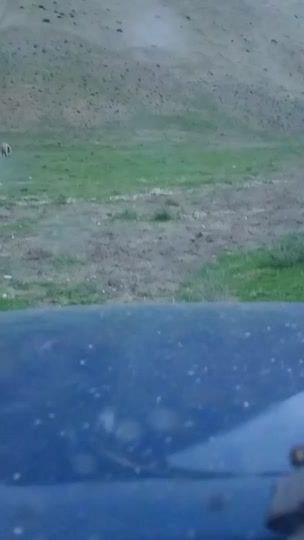 TikTok video thumbnail by baba_ekberov