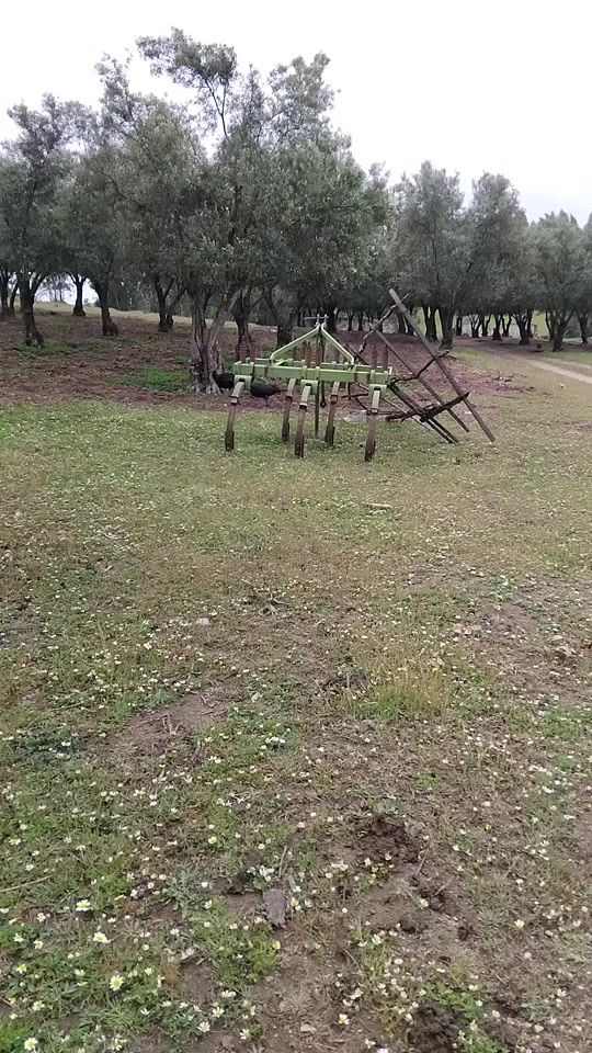 TikTok video thumbnail by rajiato