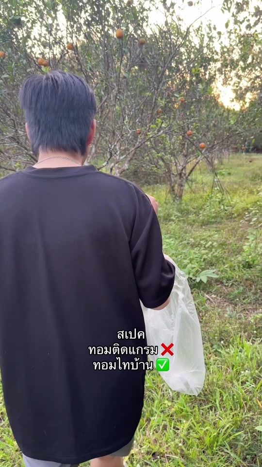 TikTok video thumbnail by namtarn260245