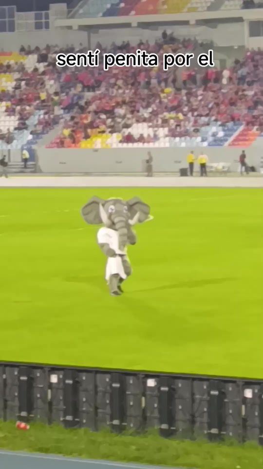TikTok video thumbnail by noemi_fer88