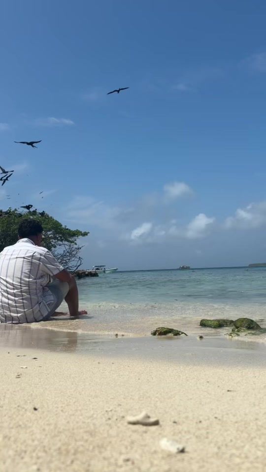 TikTok video thumbnail by antiier