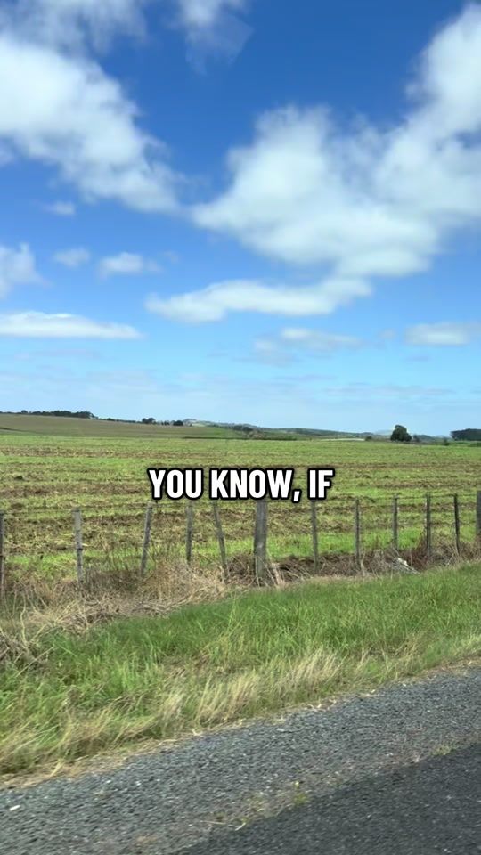 TikTok video thumbnail by life.lessons491