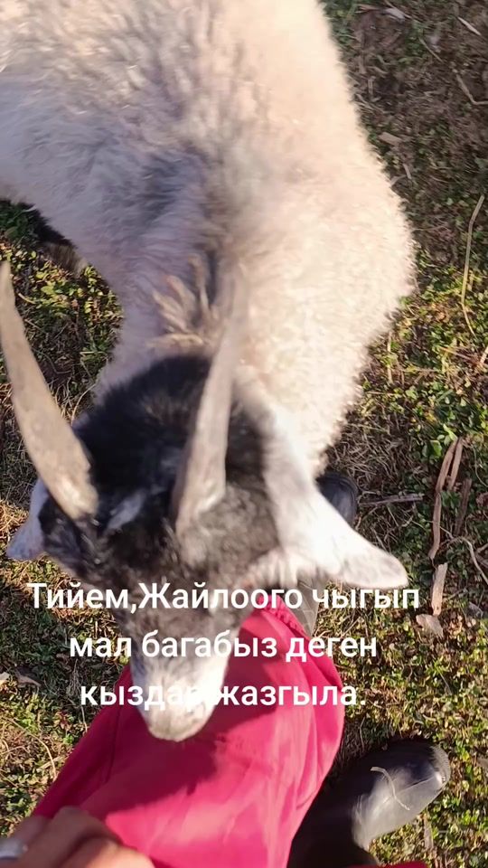 TikTok video thumbnail by auut.0075