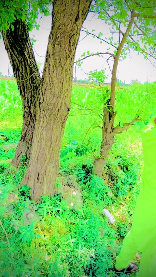 TikTok video thumbnail by alijaranwala