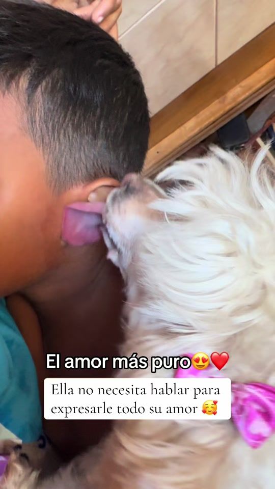 TikTok video thumbnail by arnaldoestaba