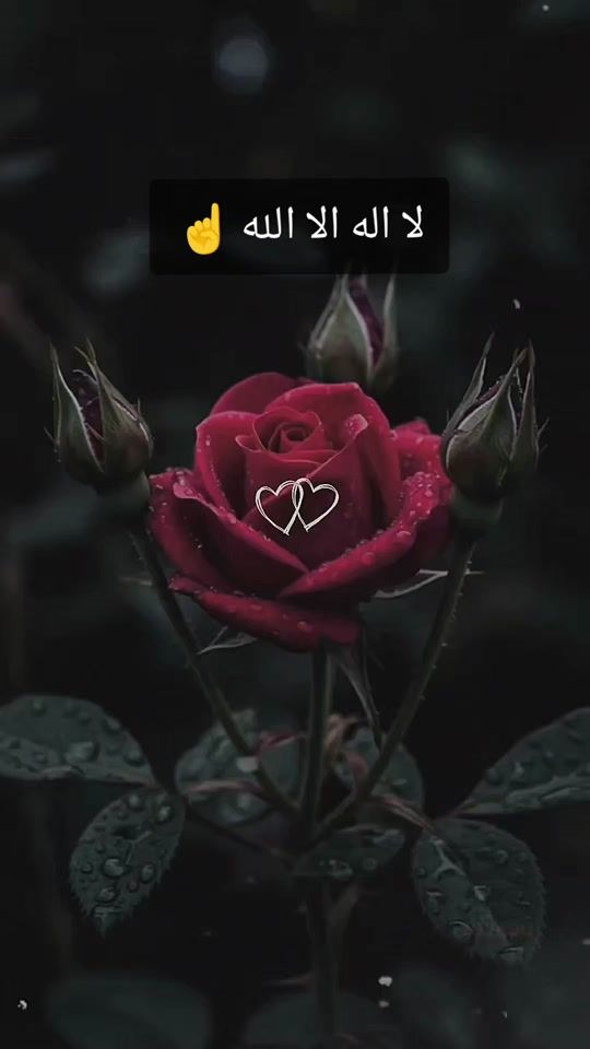 TikTok video thumbnail by fatmaalsalh4
