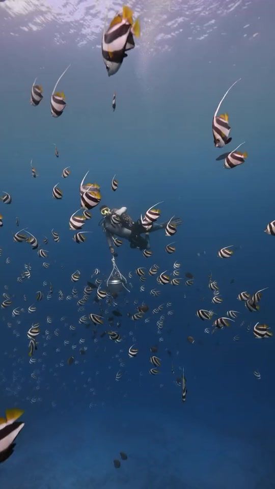 TikTok video thumbnail by ahmednoby227