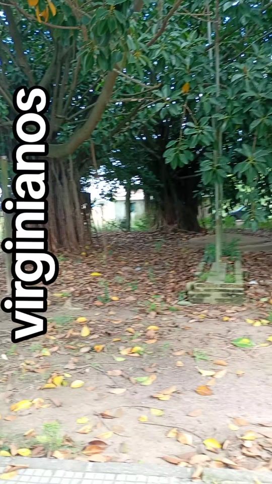 TikTok video thumbnail by alfredotorres9237