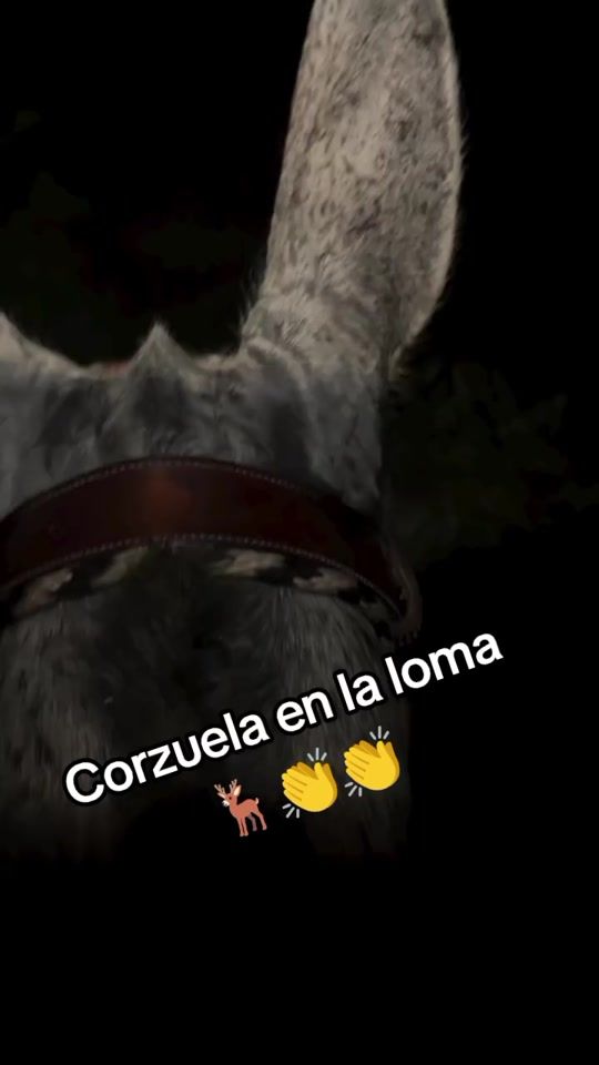 TikTok video thumbnail by vallejo884