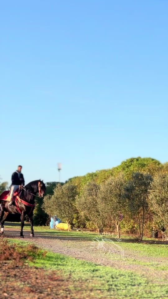 TikTok video thumbnail by tbourida.er