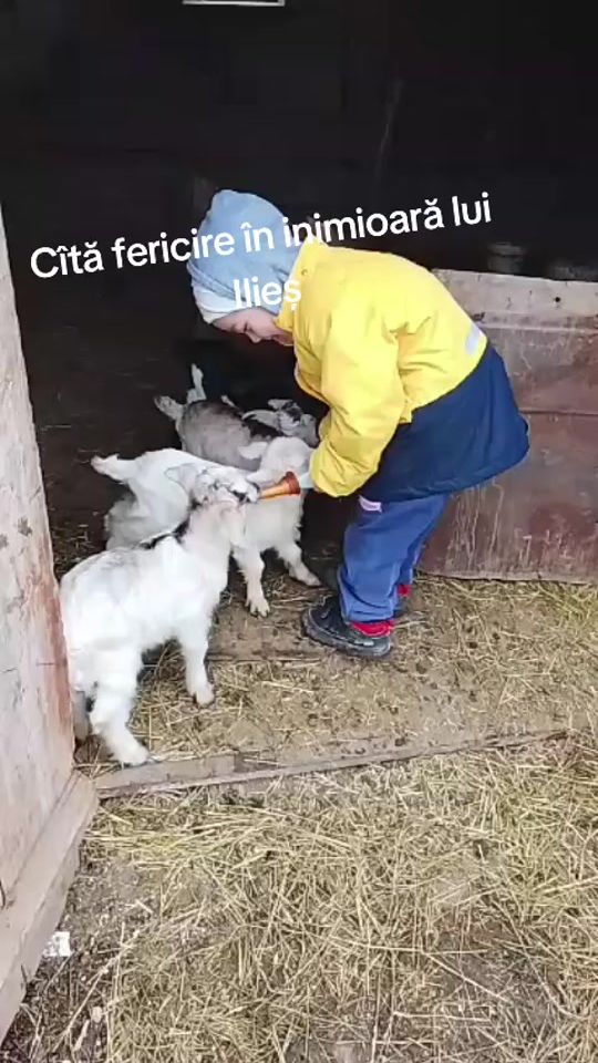 TikTok video thumbnail by buretenadejda8