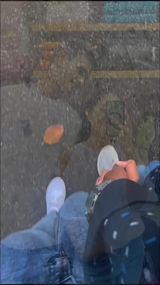 TikTok video thumbnail by try_quotes_1