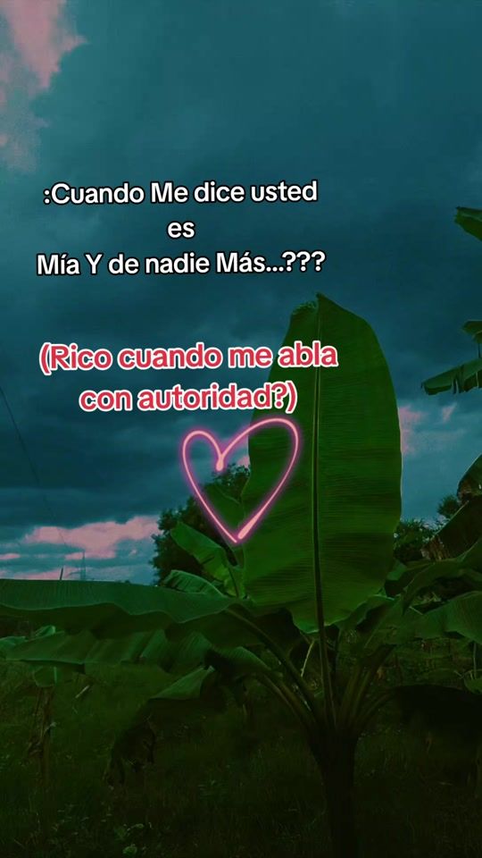 TikTok video thumbnail by varelarodriguez3