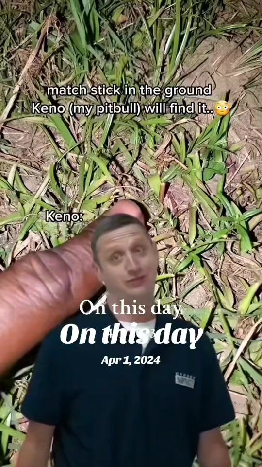 TikTok video thumbnail by focusedk9tt