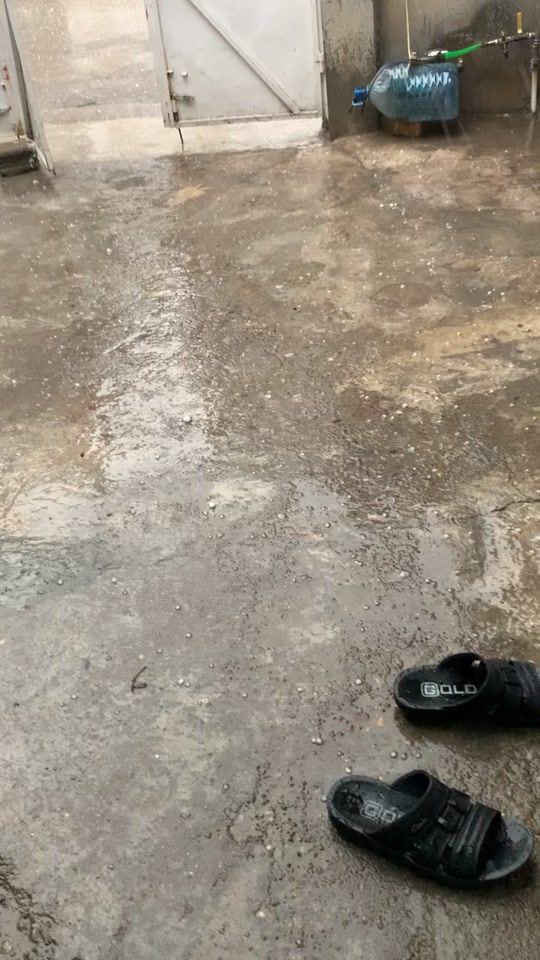 TikTok video thumbnail by gardem812